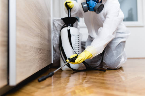 Best Pest Removal Services  in Utica, NY