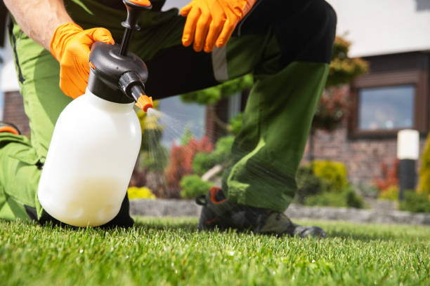 Best Exterminator Services  in Utica, NY