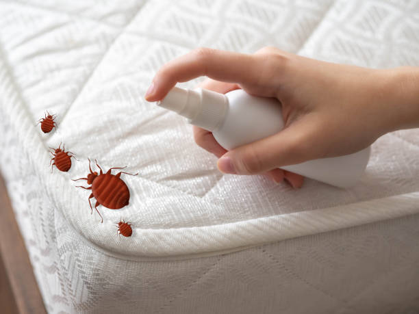 Pest Control Cost in Utica, NY