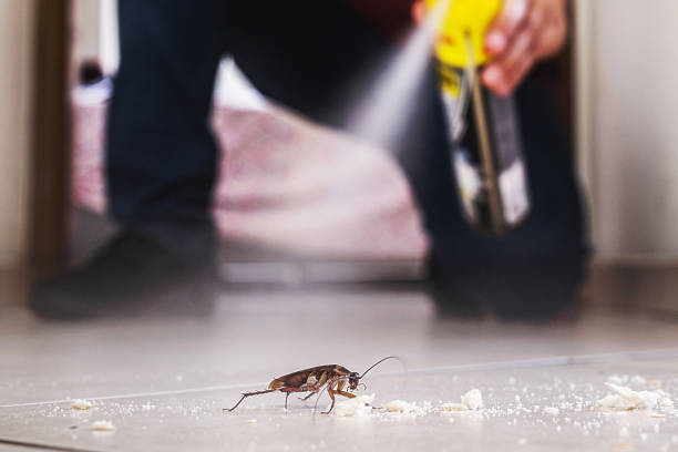 Best Commercial Pest Control Services  in Utica, NY